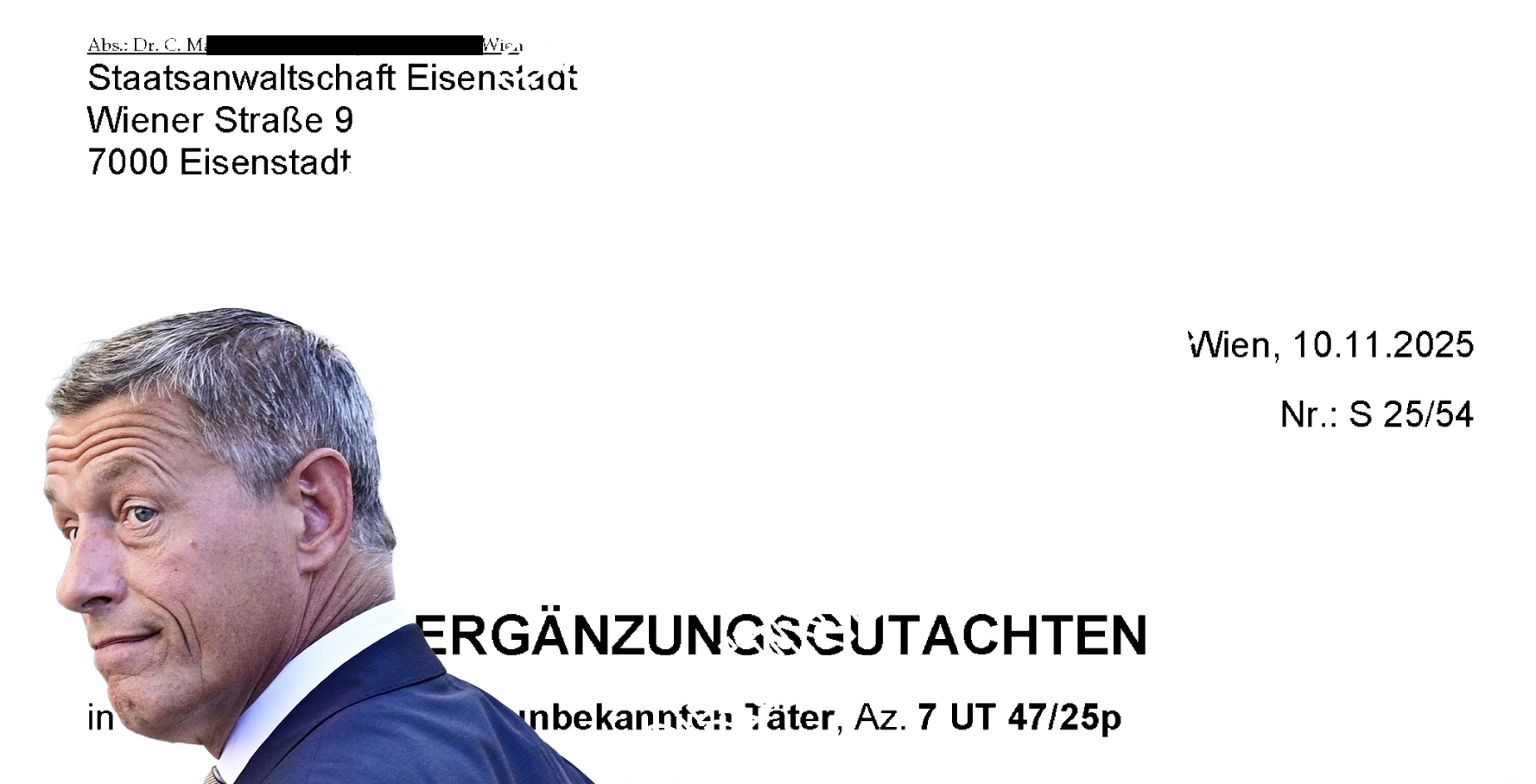 Gutachten Pilnacek: Beschuhte Fußtritte