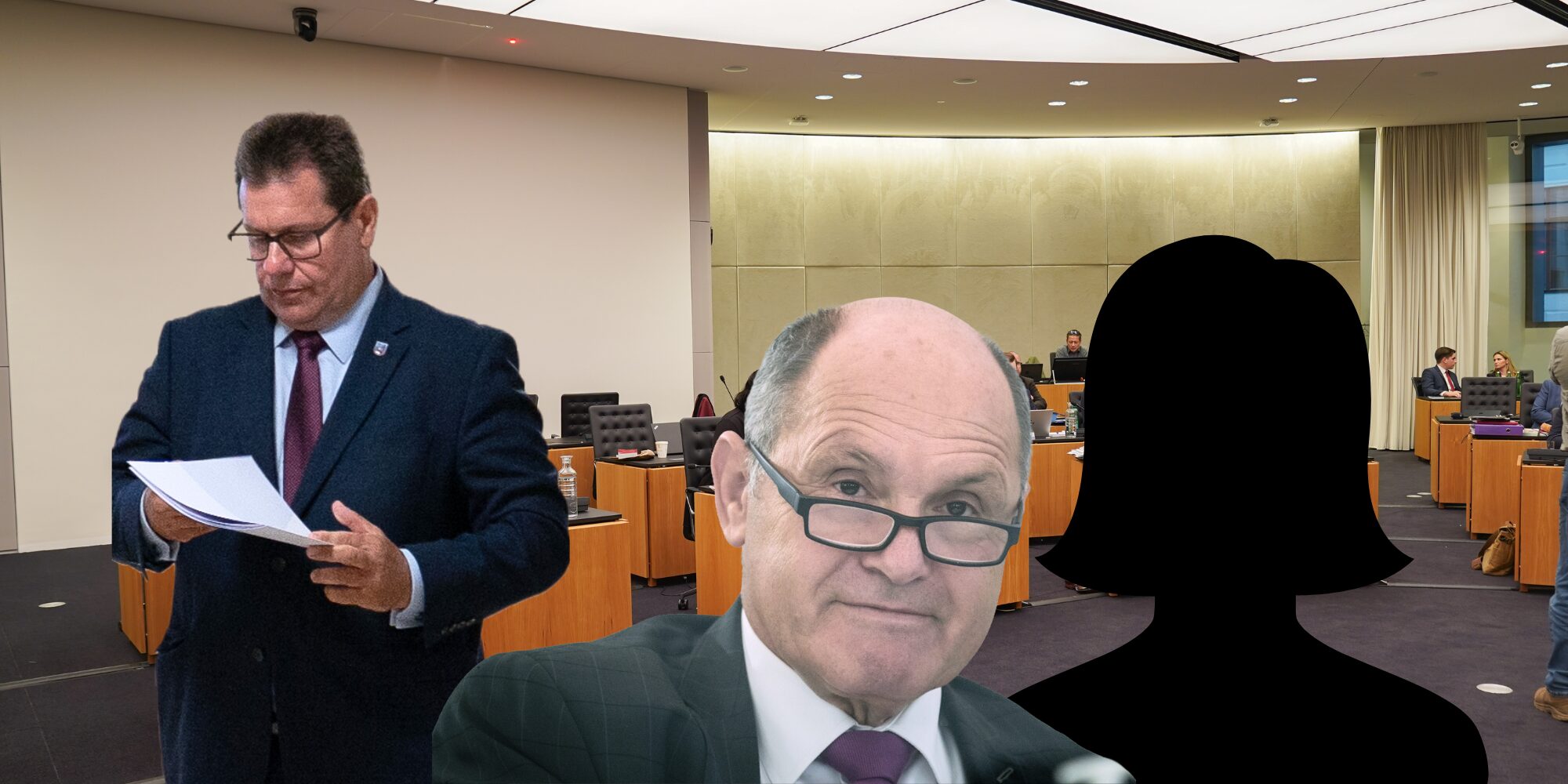 “Irre Zeit”: Die wundersame Wandlung der Sobotka-Mitarbeiterin P.